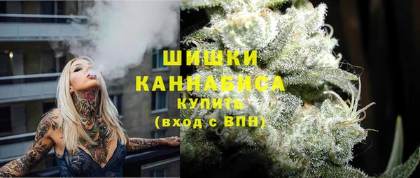 гашик Гусь-Хрустальный
