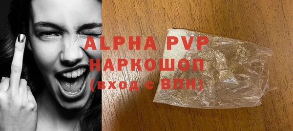 гашик Гусь-Хрустальный