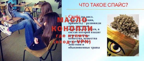 гашик Гусь-Хрустальный