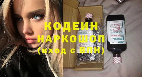 гашик Гусь-Хрустальный