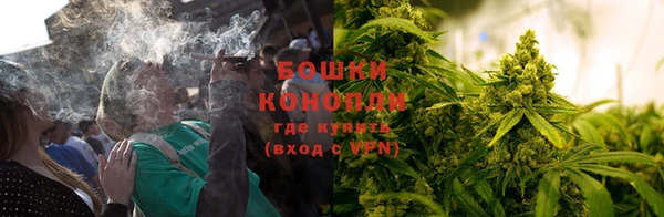 гашик Гусь-Хрустальный