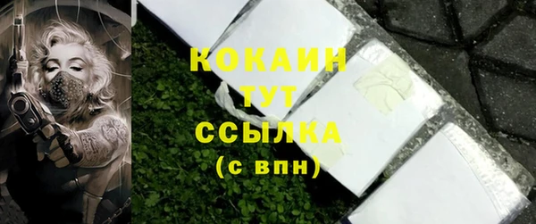 мет Гусев