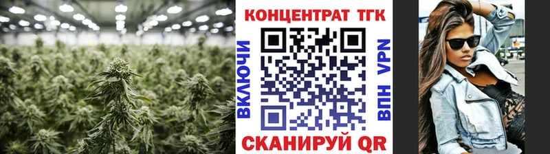 ТГК концентрат  где продают   Пласт 