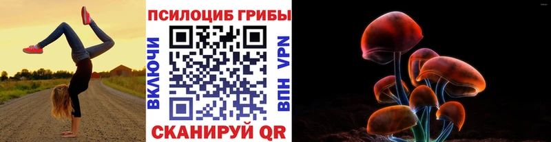 Псилоцибиновые грибы Cubensis  Пласт 